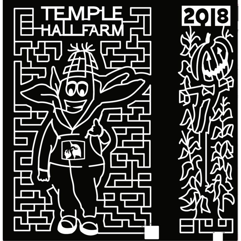 18_VA_Leesburgh temple hall farm 2018 pumpkin corn man cornstalks scarecrow mascot