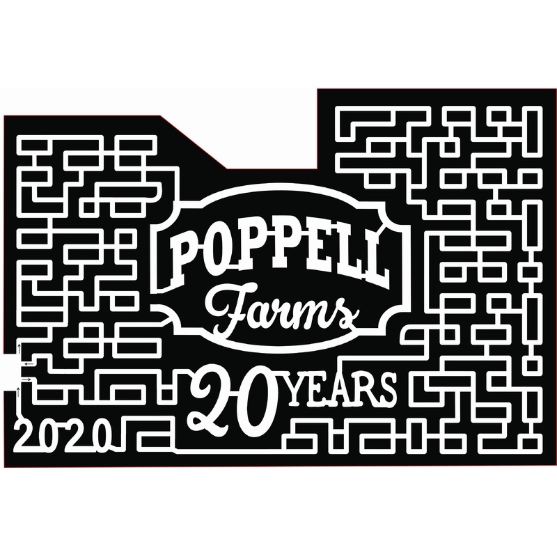 20_GA_Odum, 20 years, logo.jpg