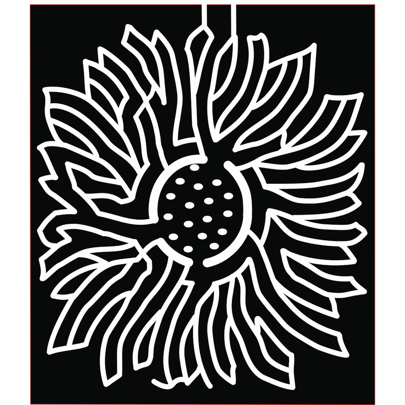 20_IN_Hobart, sunflower, flower, plant.jpg
