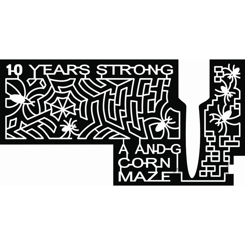 20_MN_St. Joseph, spider, bugs, bug, web, halloween.jpg