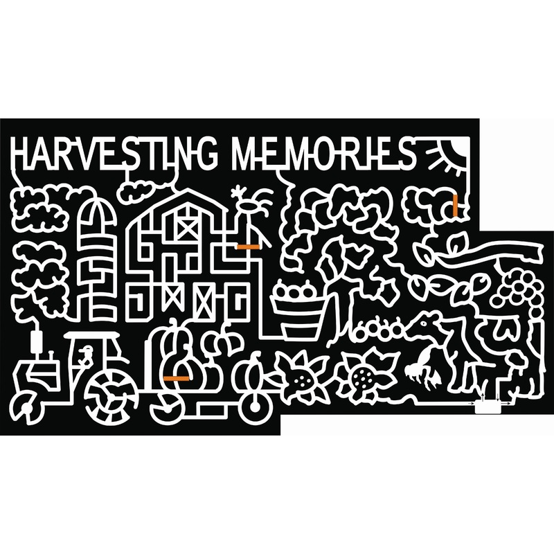 20_NY_Newark_Valley, farm, tractor, pumpkin, sunflower, flower, bug, bee, cow, grapes, fruit, corn, barn, silo, grain bin, cloud, sun, tree, farming, harvesting.jpg