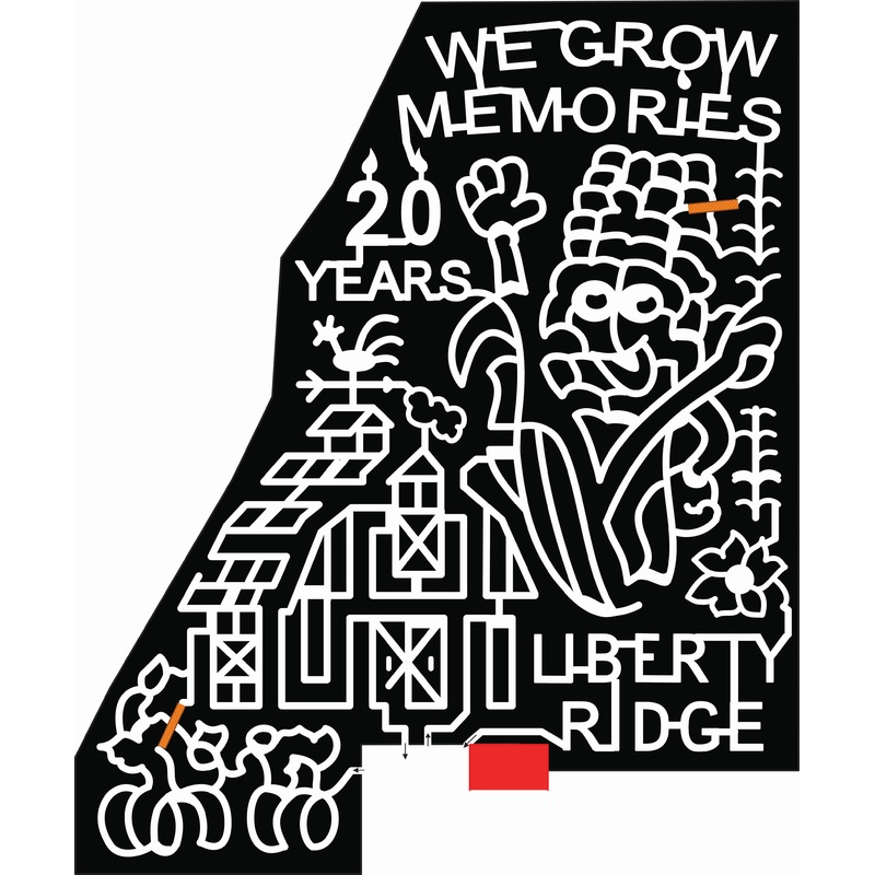 20_NY_Schaghticoke, corn, 20 years, celebrating, bar, pumpkin, corn, flower, memories.jpg
