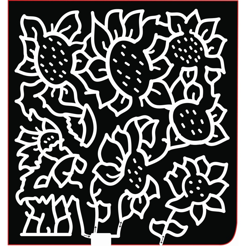 20_OH_Hamilton, sunflower, flower, plant.jpg