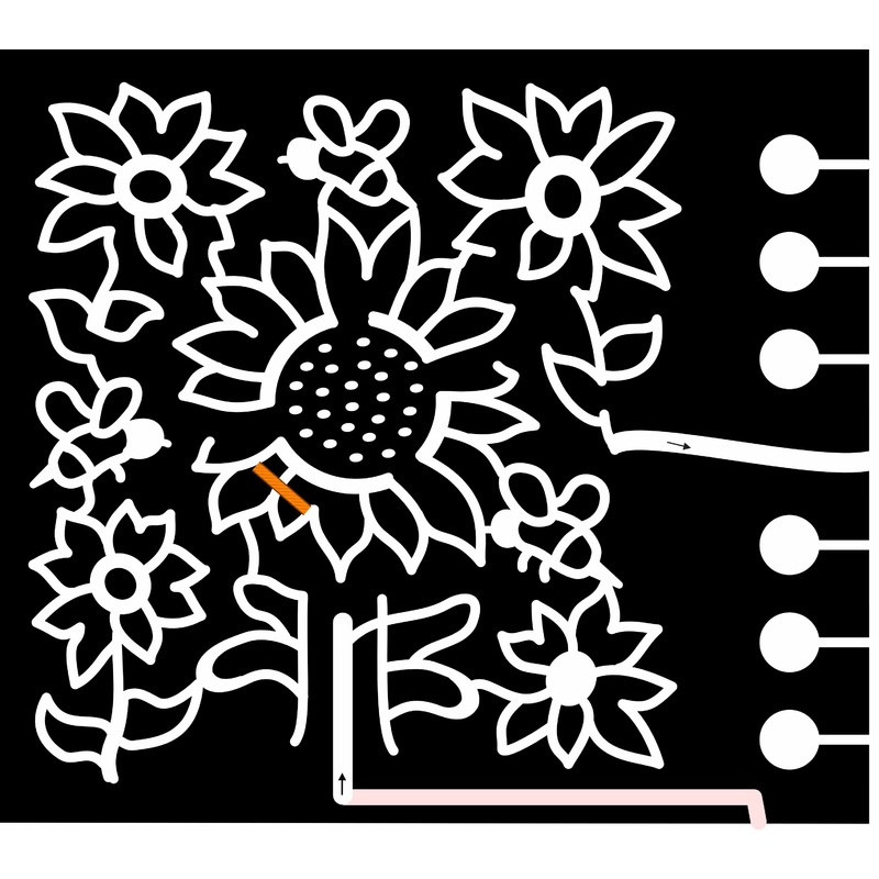 20_WA_Olympia, sunflower, flower, bee, bug, garden.jpg
