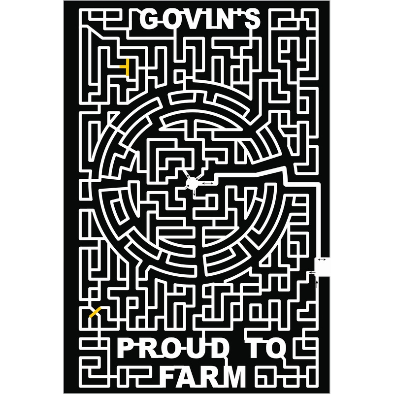 20_WI_Menomonie, maze, maze runner, labyrinth.jpg