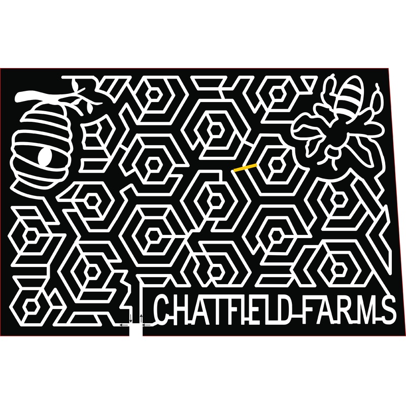 21_CO_Littleton bee honeycomb comb