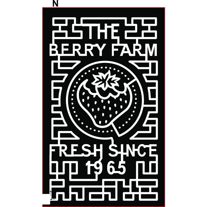 21_FL_Miami strawberry