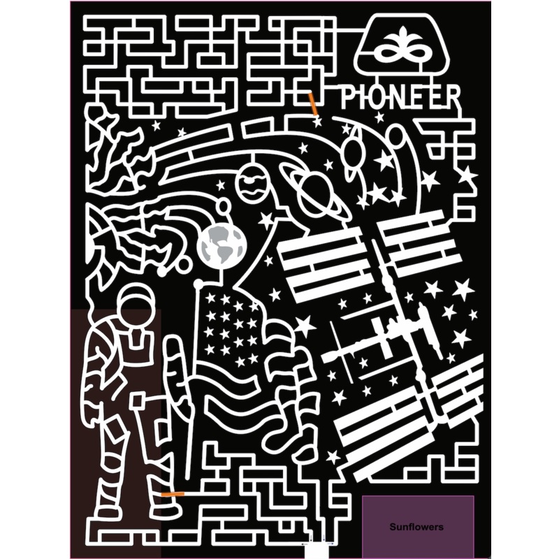 21_pioneer space astronaut planets flag stars earth