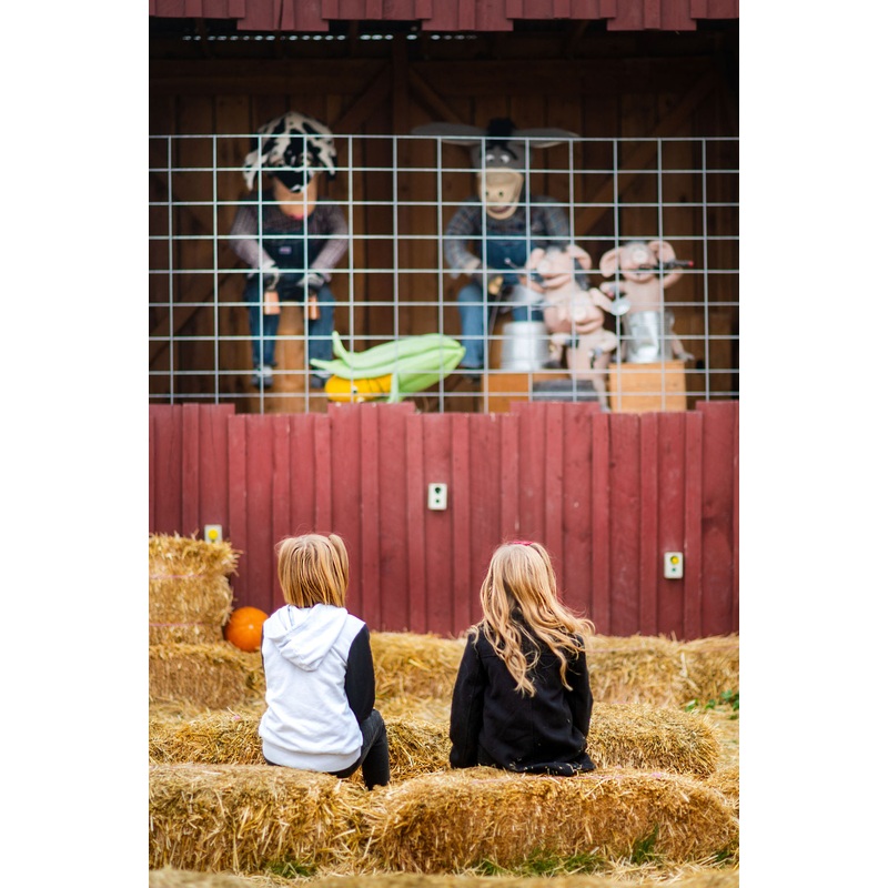 Animal Band_Kids_Watching_RJ.jpg