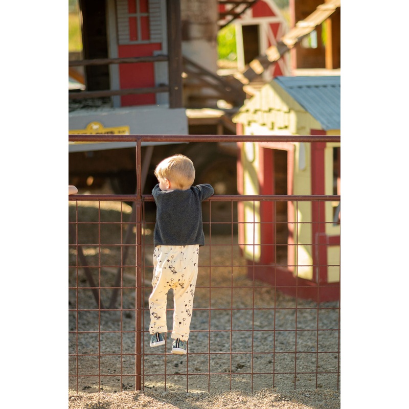 Animal Corral_Little Boy_on Goat Fence_RJ.jpg