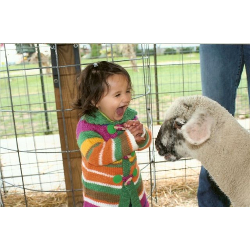animals1.jpg
