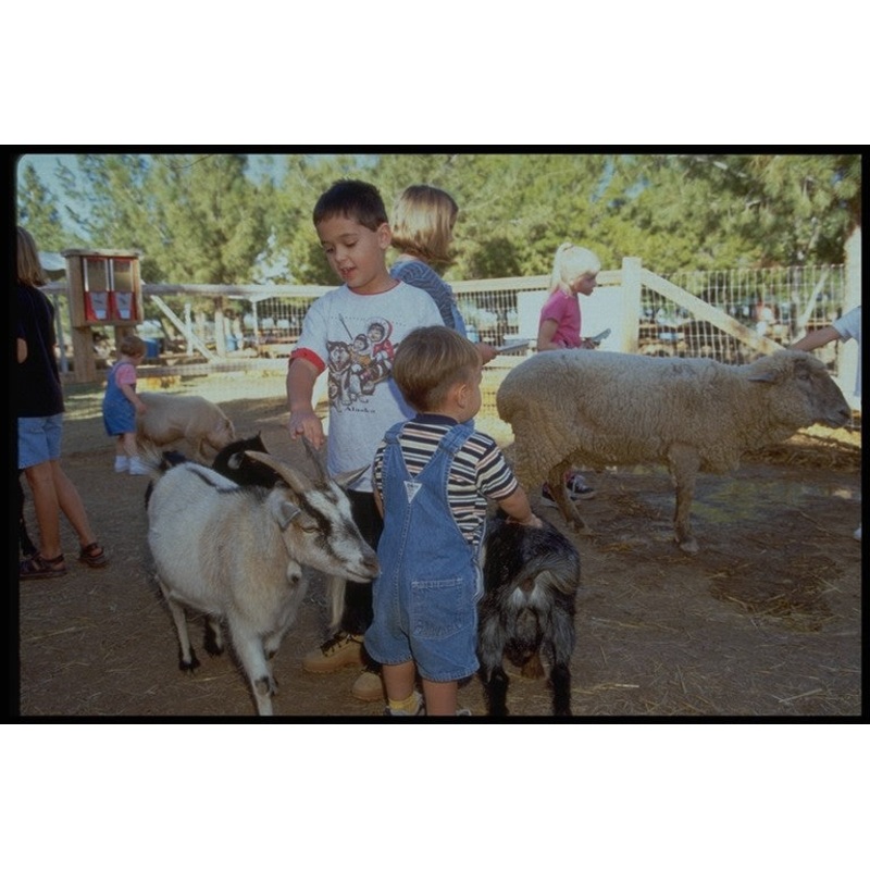 animals2.jpg