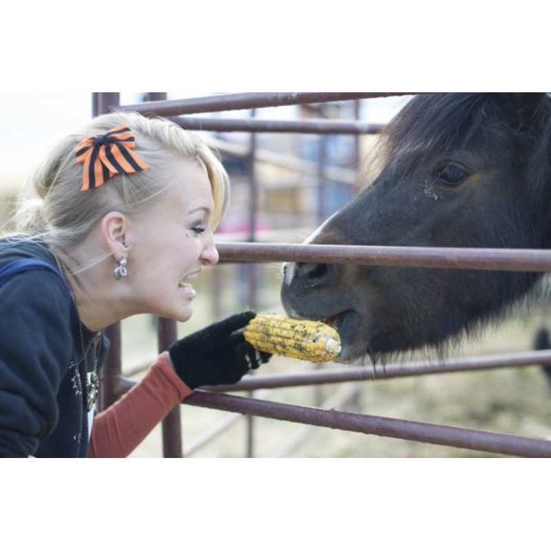 animals5.jpg