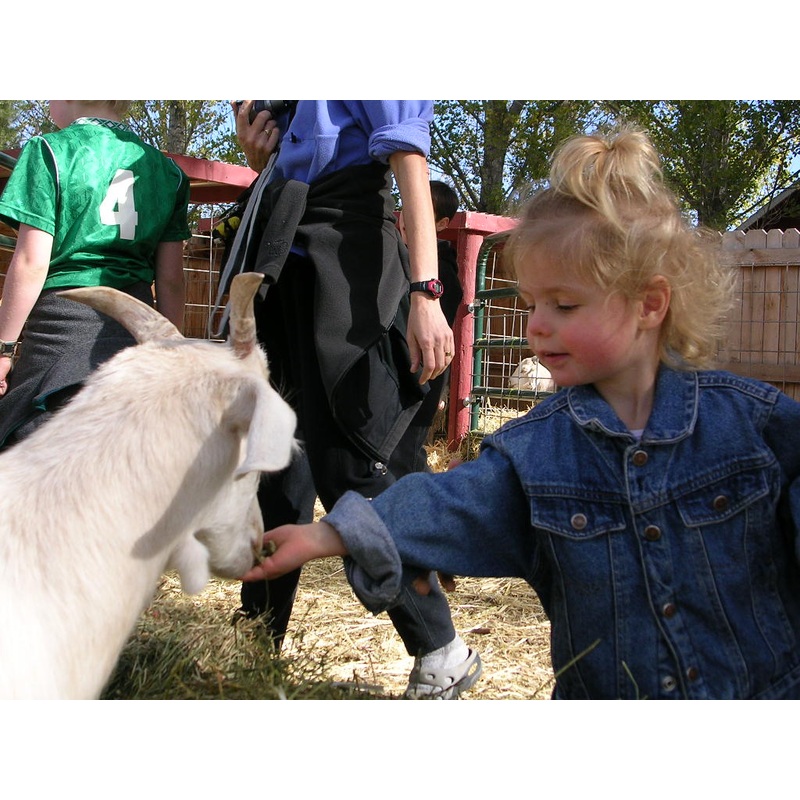animals6.JPG