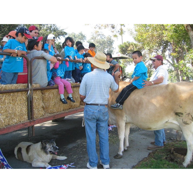 animals9.JPG