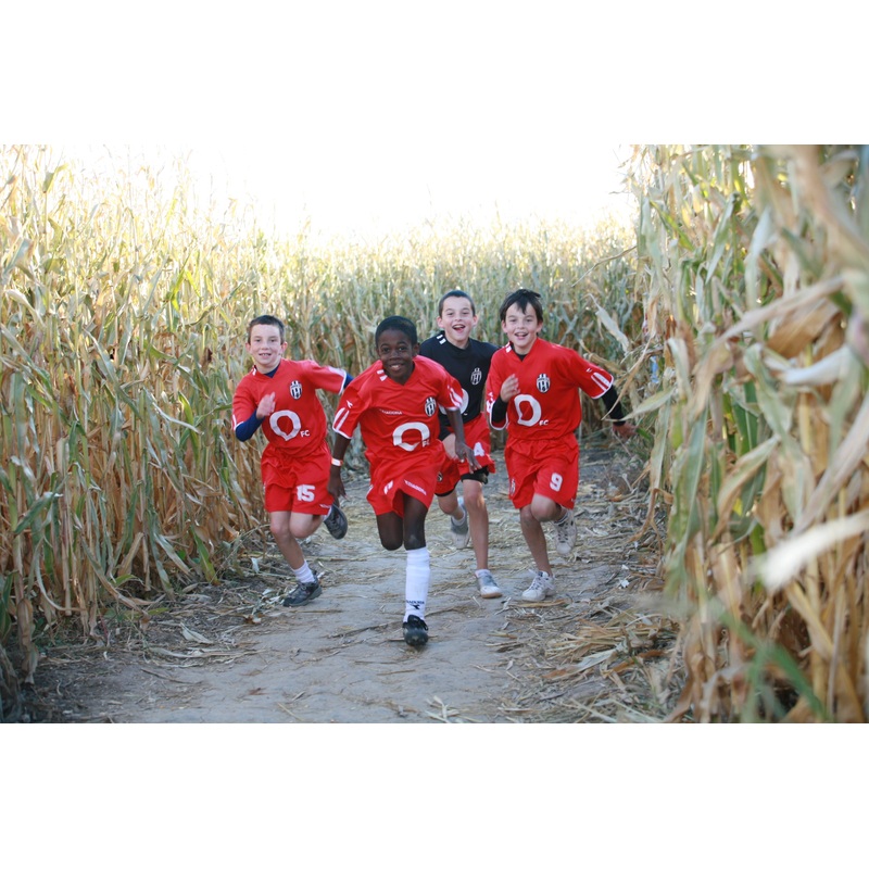 boys in corn.JPG