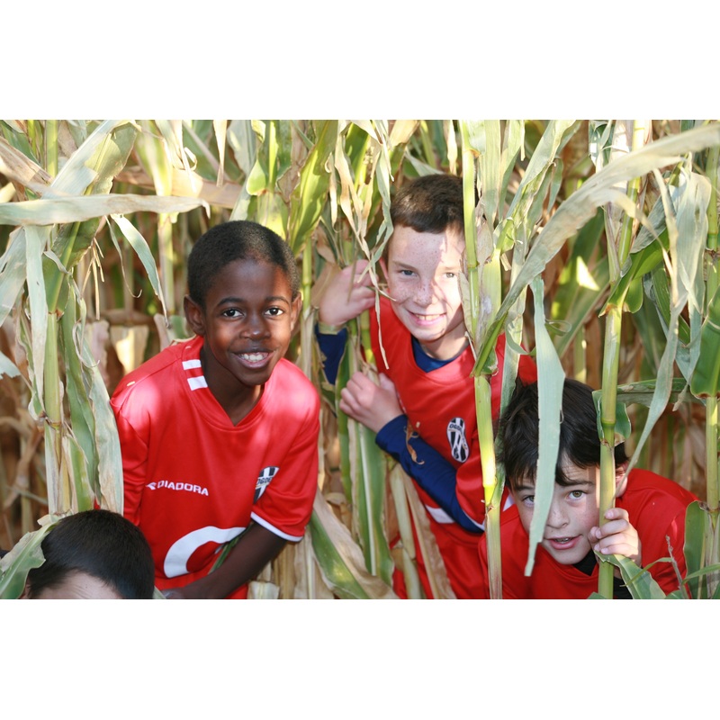boys in maze.JPG