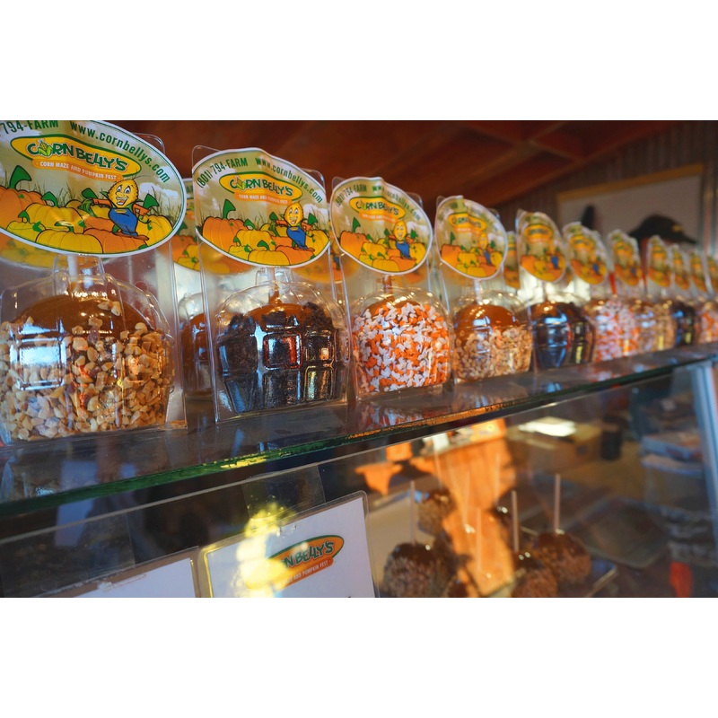 Caramel Apple_Packaged_Counter Display.jpg