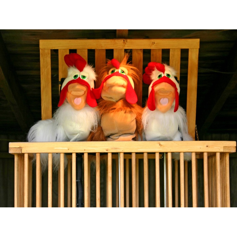 Chicken Show_Puppets_Cage Singing.jpg