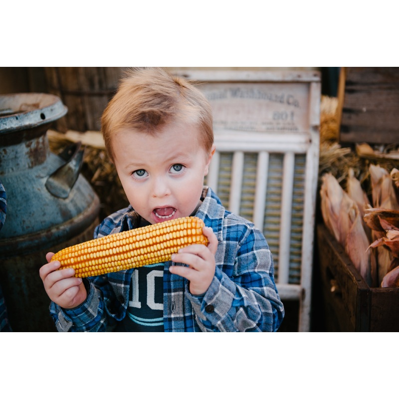 Corn Cob_Boy_Taking a bite.jpg