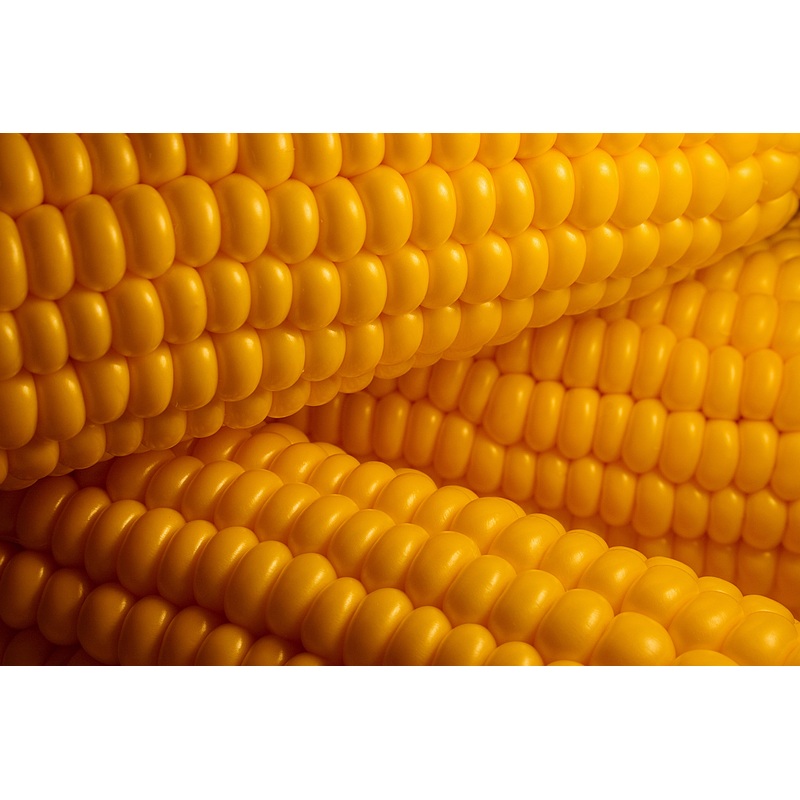 Corn Cobs kerrnel cob.jpg