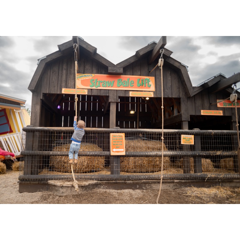 Courtyard_Straw Bale Lift_Little Boy 2_RJ.jpg