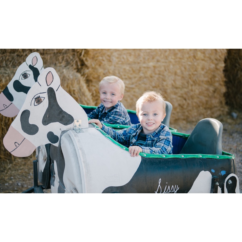 Cow Train_Boys_Smiling Plaid.jpg