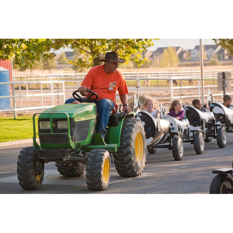 Cow Train_Employee_Kids.jpg