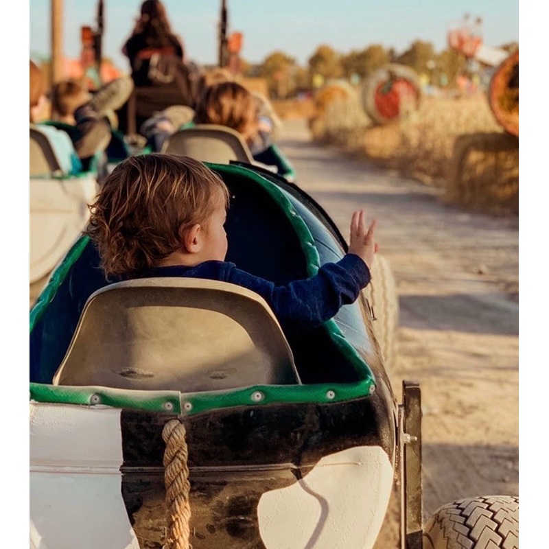 Cow Train_Kid_Waving Goodbye.jpg