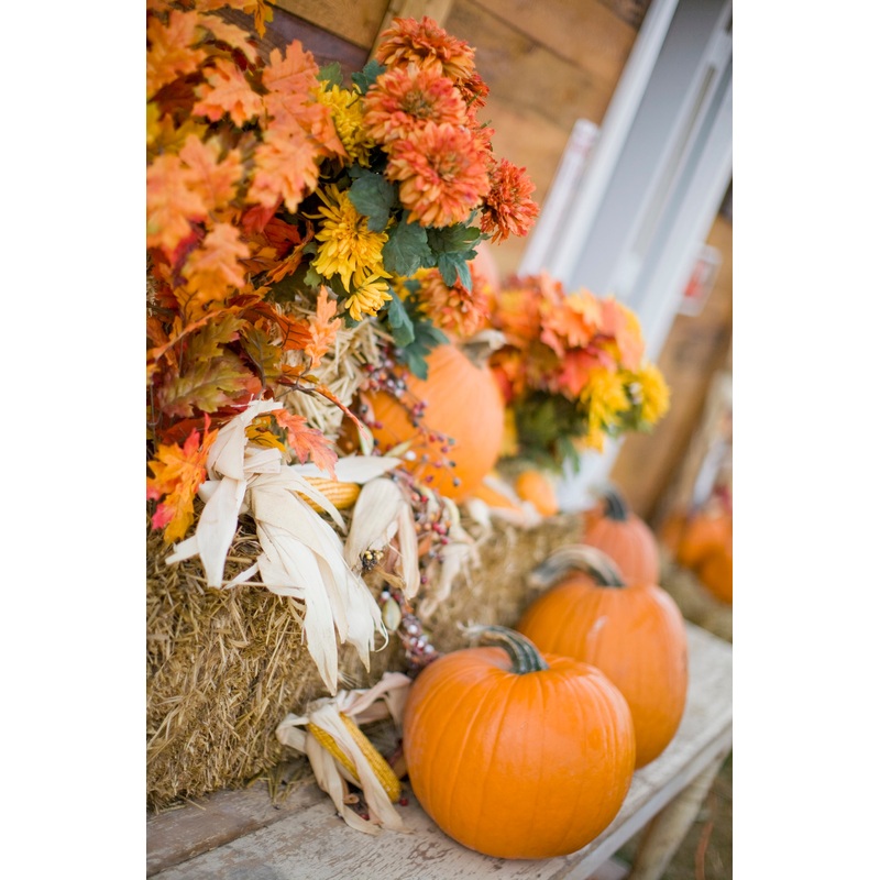 Decor_Autumn Fall_Pumpkin Haybale Leaves.jpg