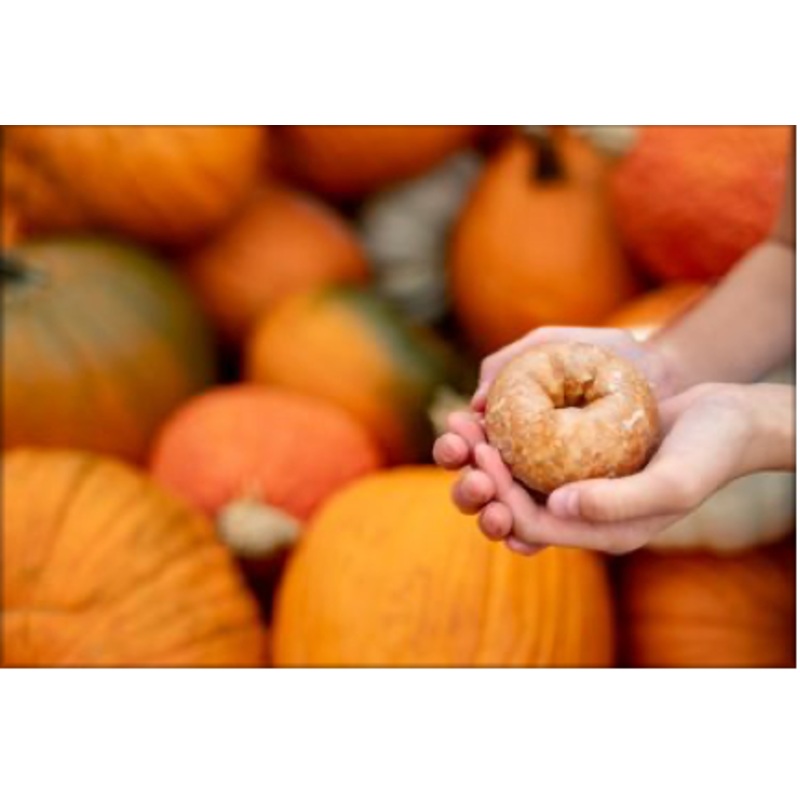Donuts_Product Picture 1_RJ.jpg