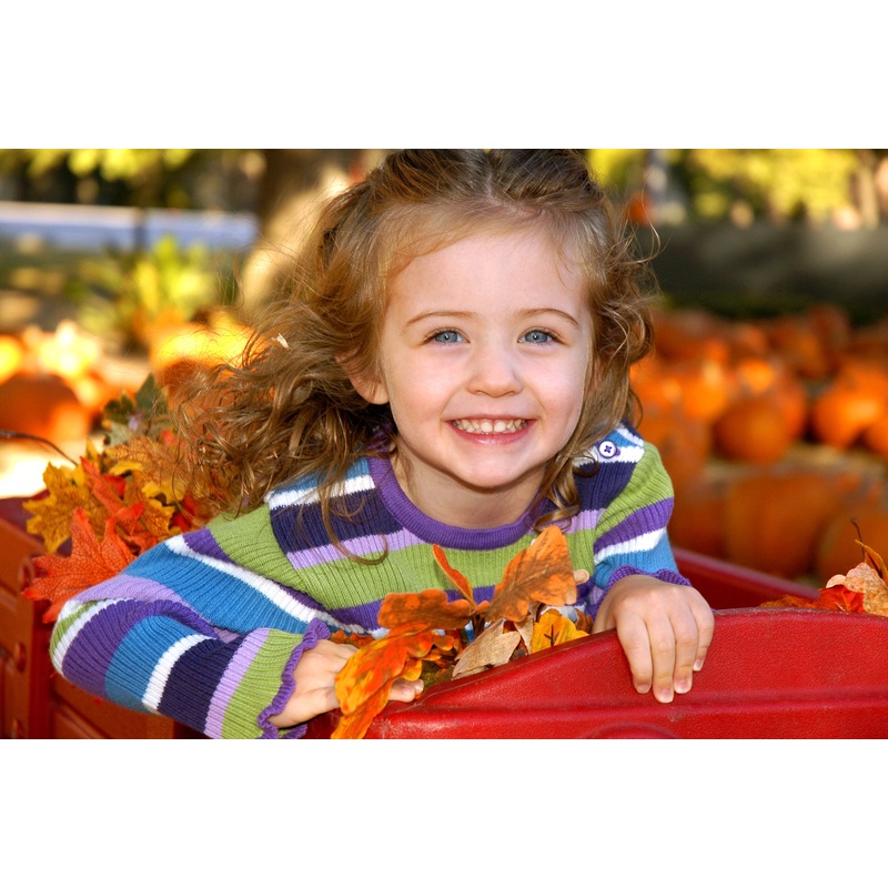 girl fall pumpkin little wagon cute photo.jpg