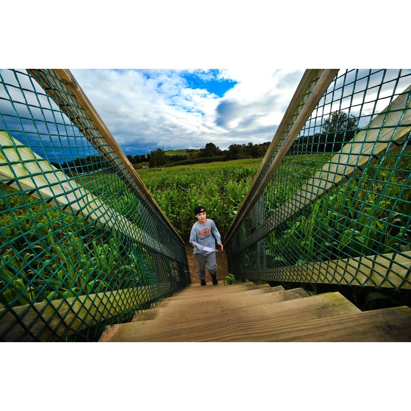 Maze_Boy_climbing stairs.jpg