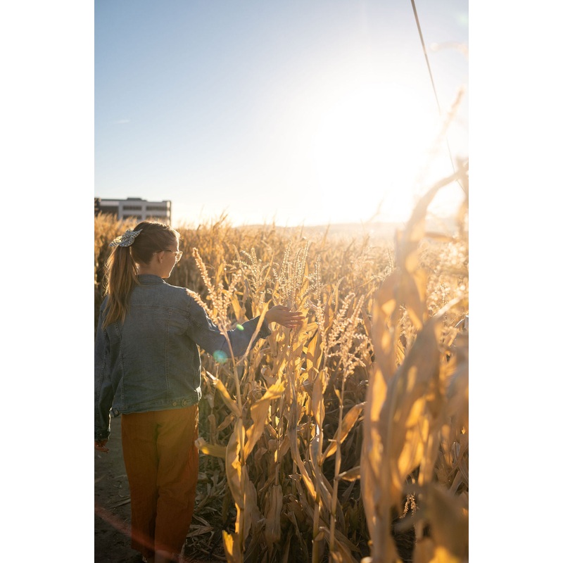 Maze_Girl_Walking Sunlight 3_RJ.jpg