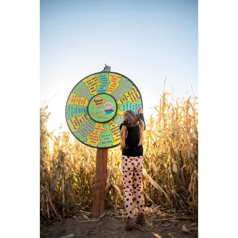 Maze_Spinner_Little Girl_Spinning 2_RJ.jpg