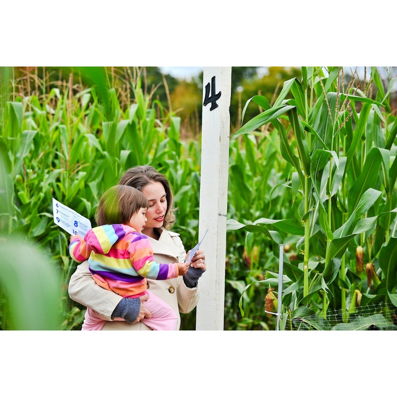mom and daughter in maze with passport.jpg