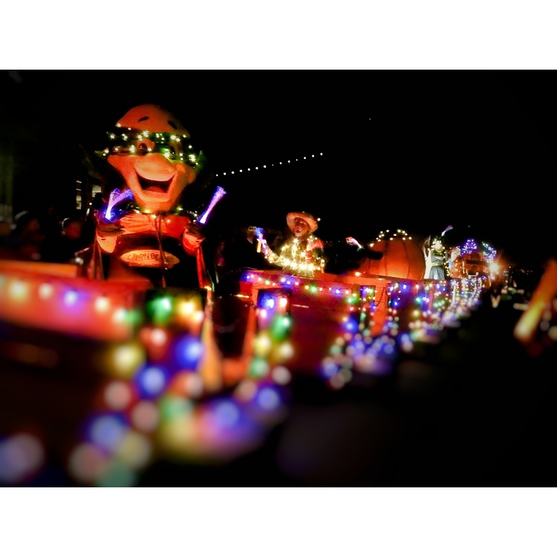 Night Parade_Characters_grain train lights.jpg