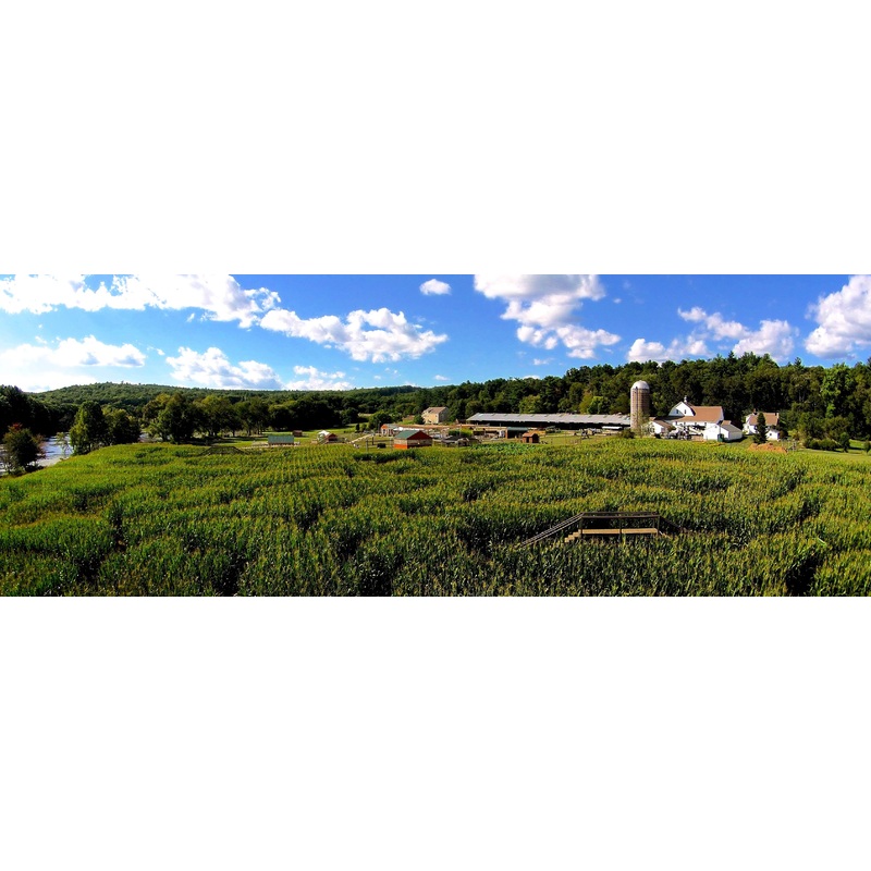 Owen Cooper 2015 Aerial farm sky corn maze blue photo farm.jpg