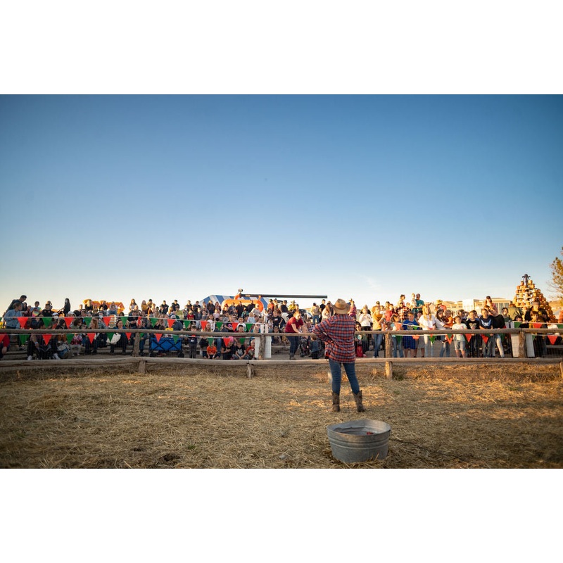 Pig Race_Employee_Crowd 3_RJ.jpg