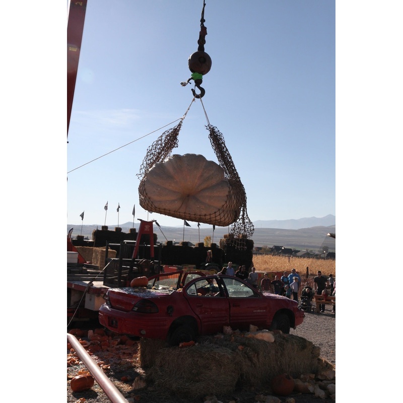 Pumpkin Drop_Giant_Car smash.jpg