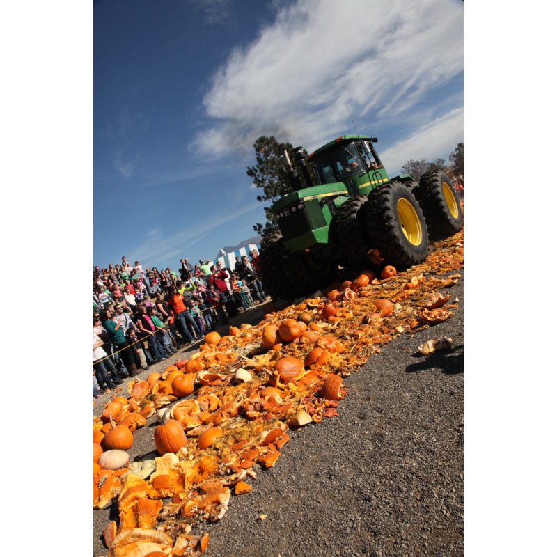 Pumpkin Smash_Tractor.jpg