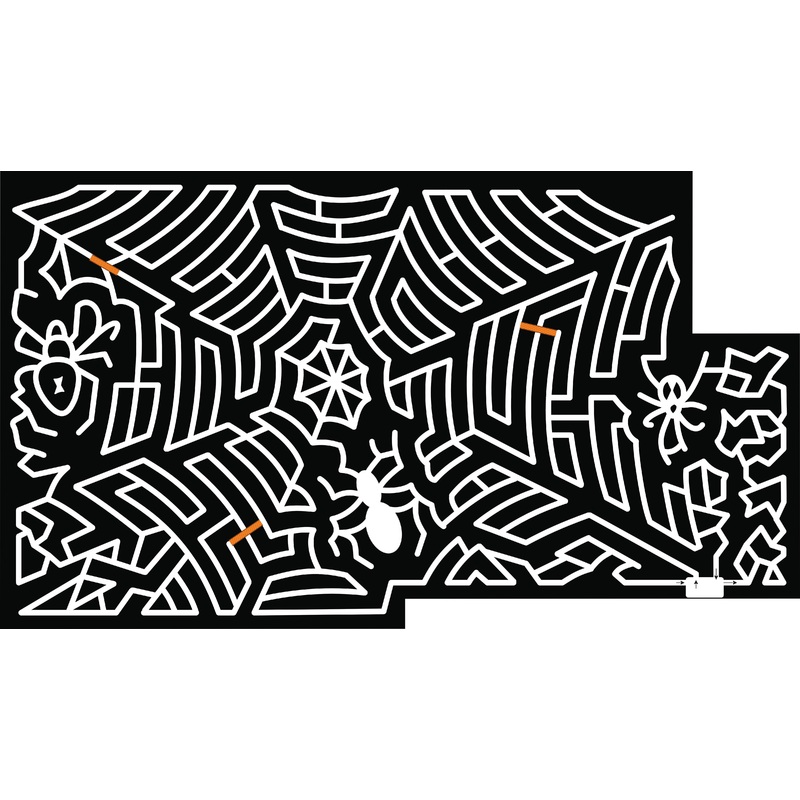 21_NY_Newark_Valley spider spiderweb web