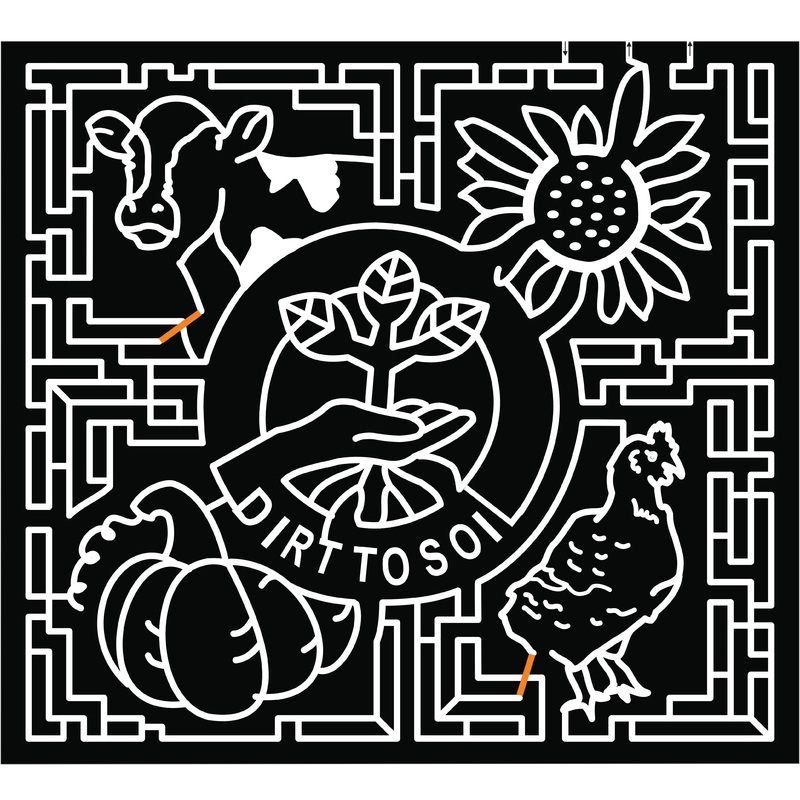 21_TX_Lubbock sunflower flower chicken cow plant hand pumpkin