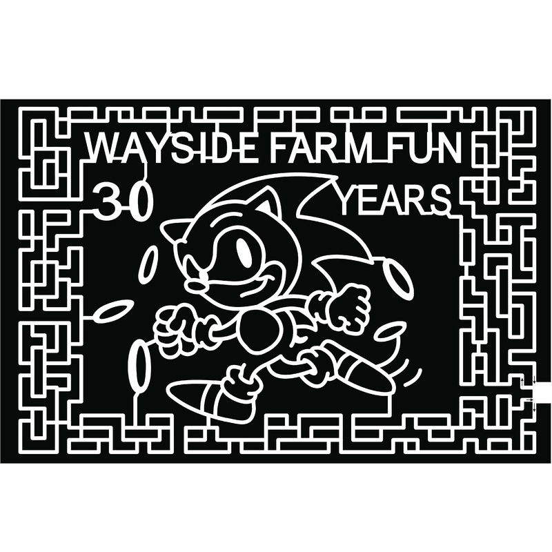 21_VA_Hamilton sonic hedgehog cartoon game rings