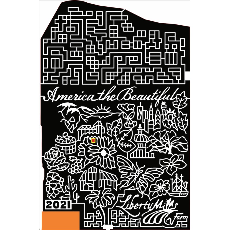 21_VA_Somerset america beautiful building capitol leaf tree ship flower butterfly cactus tree silo