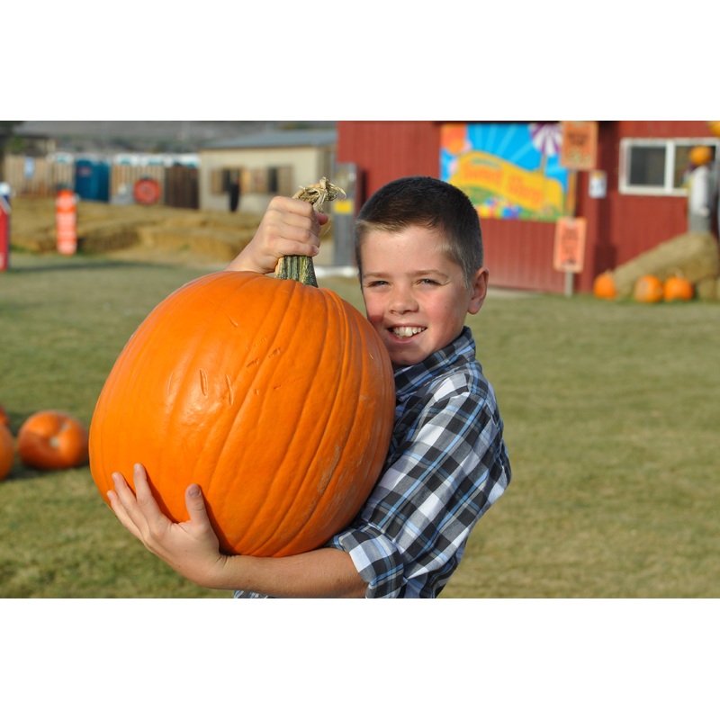 Pumpkin_Boy_Carrying Smiling Cody.JPG