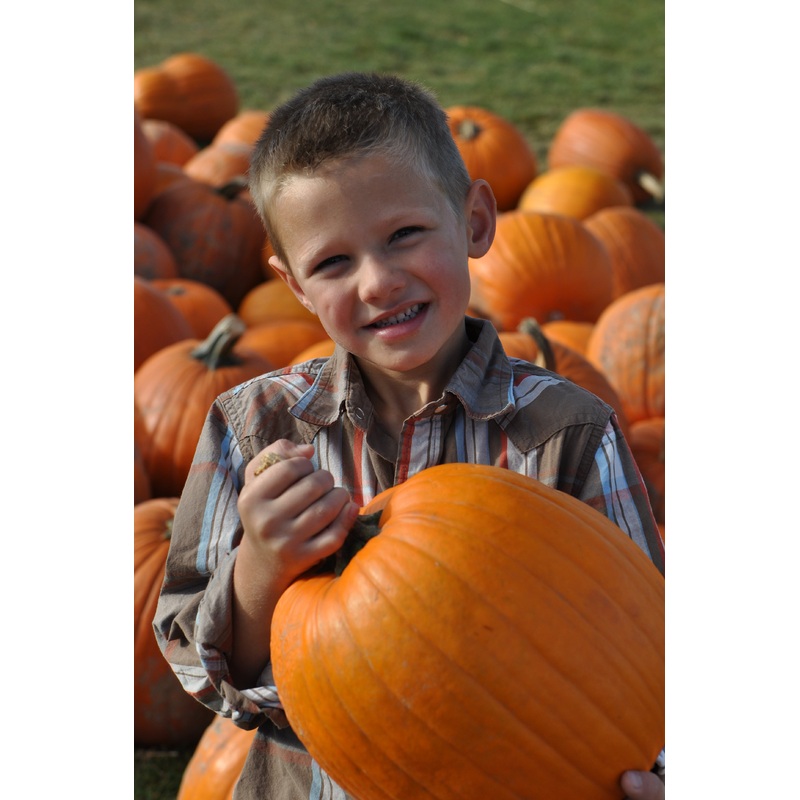 Pumpkin_Boy_Carrying Smiling JD.JPG