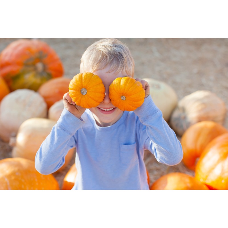 Pumpkin_Boy_cover eyes.jpg