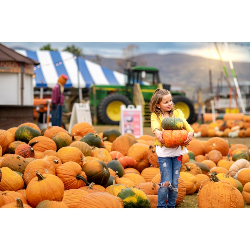 Pumpkin_Girl carrying pumpkins 1_RJ.jpg