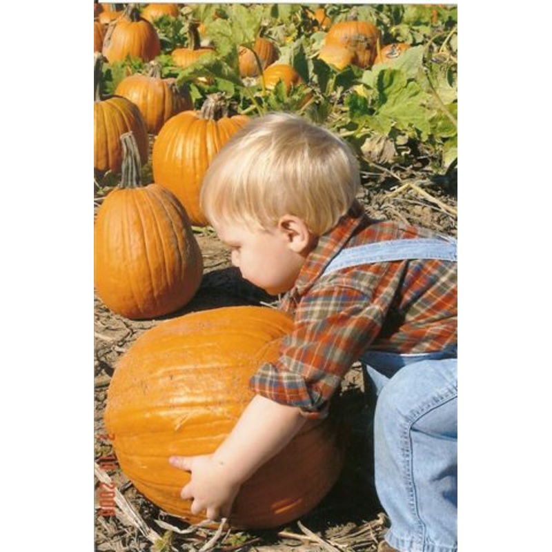 pumpkin1.jpg